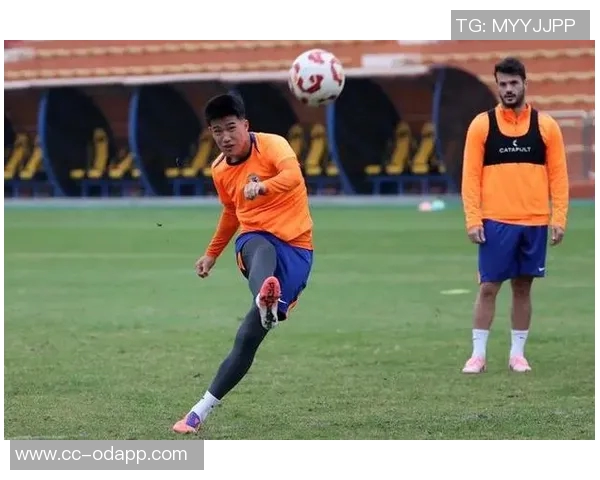 山东泰山队备战上海海港队赛前训练全景展现团队士气与战术准备