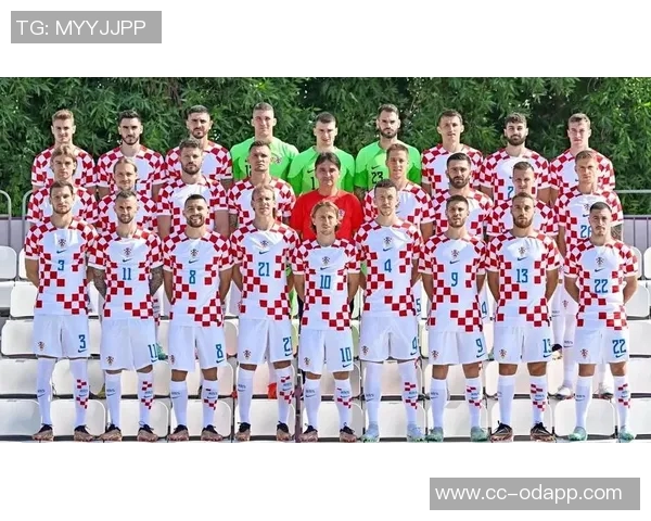 拜仁与克罗地亚14岁小将西普拉进行引进谈判引发关注