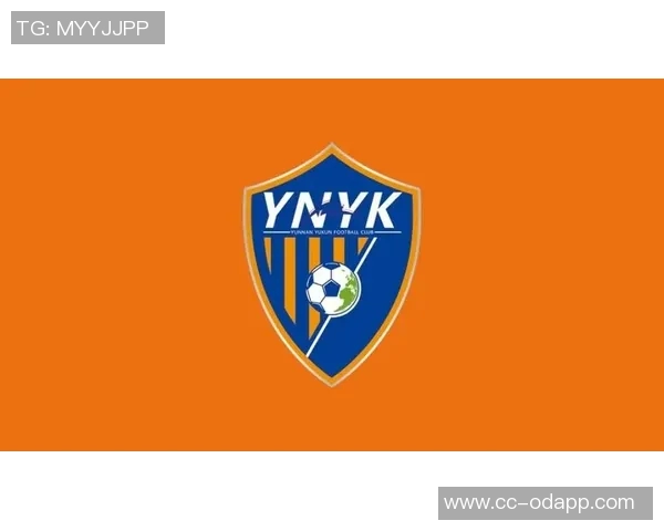 云南玉昆官方宣布王星皓李博加盟球队荣家辉成功上调至一线队